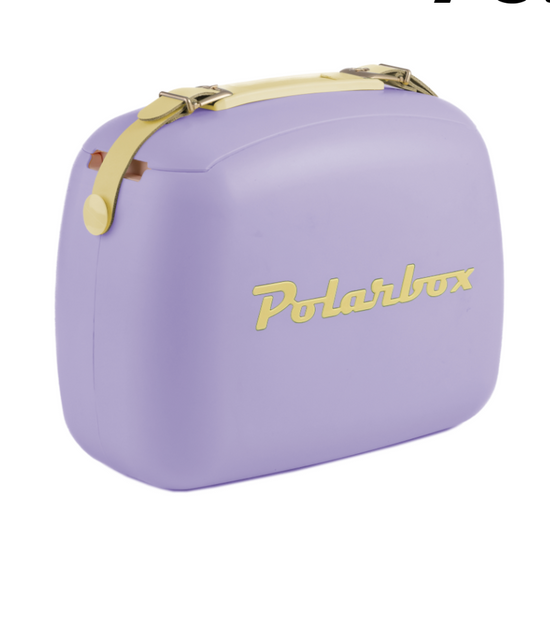 PolarBox & 2 Lunch 6 Litre Cooler Bag Lilac Yellow 10013