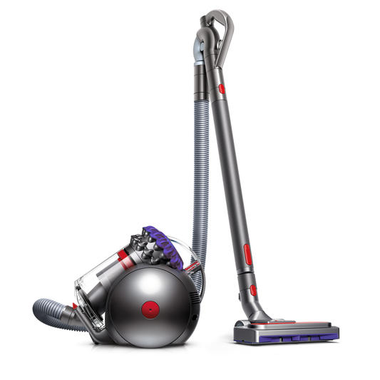 Dyson Big Ball Parquet 2 (Purple) CY28